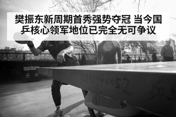 樊振东新周期首秀强势夺冠 当今国乒核心领军地位已完全无可争议