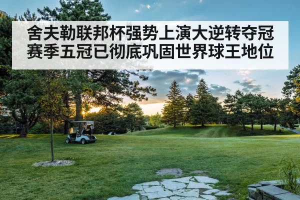 舍夫勒联邦杯强势上演大逆转夺冠赛季五冠已彻底巩固世界球王地位